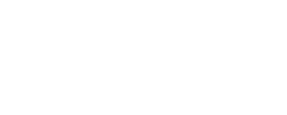 BlueCraft Leads