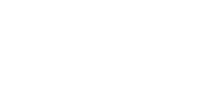 Sales Momentum Group